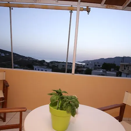Palaiologos * Posidhonia (Syros)
